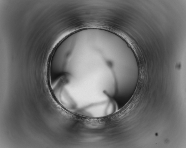 X0000101221147200806271441