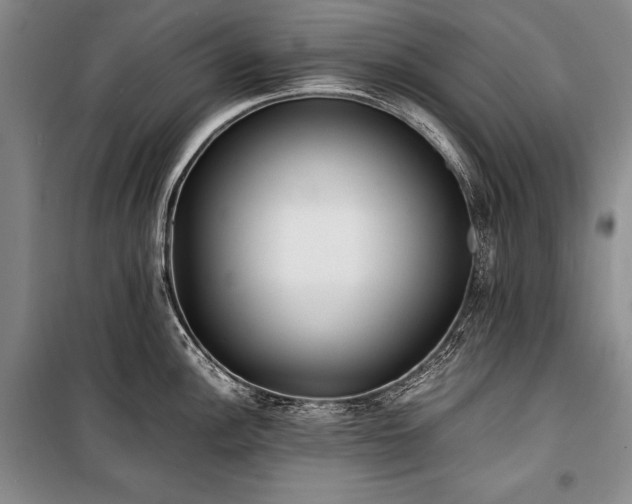 X0000101221148200806271441