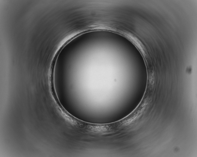 X0000101221149200806271441
