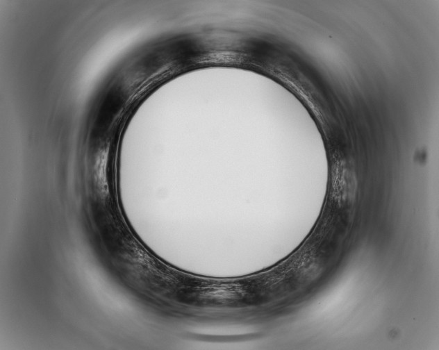 X0000101221150200806271441