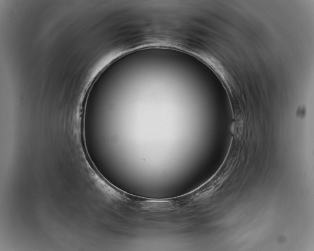 X0000101221151200806271441