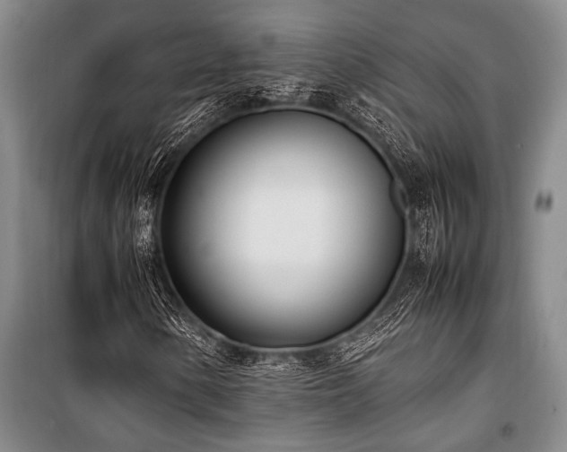 X0000101221154200806271440