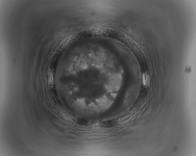X0000101221155200806271440
