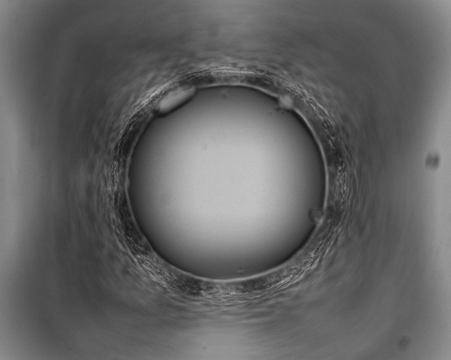 X0000101221157200806271440