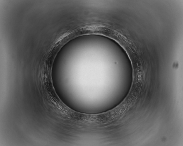 X0000101221158200806271440
