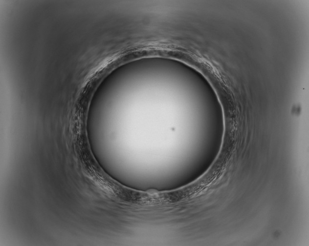 X0000101221159200806271440