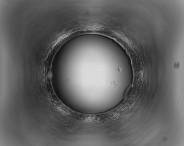 X0000101221160200806271440