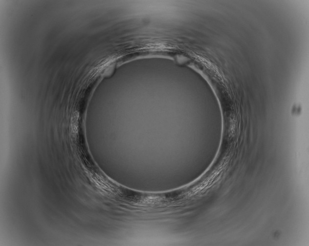 X0000101221161200806271440