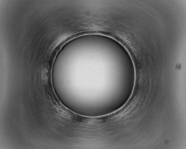 X0000101221163200806271440