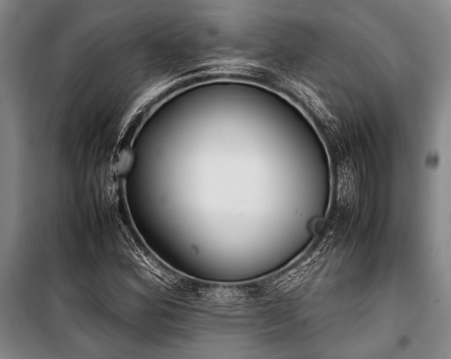 X0000101221164200806271440