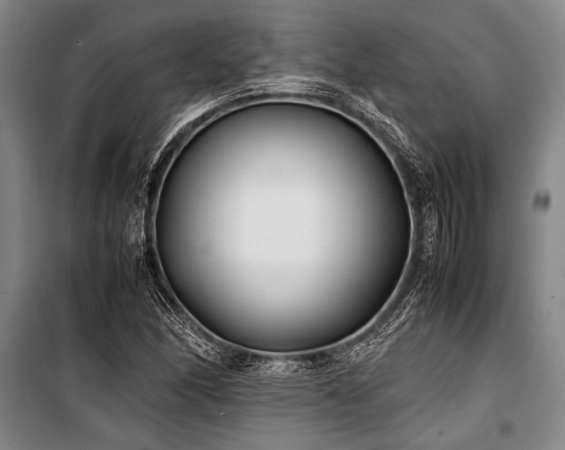 X0000101221166200806271440