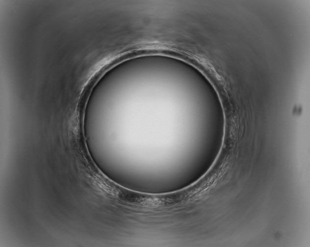 X0000101221167200806271440