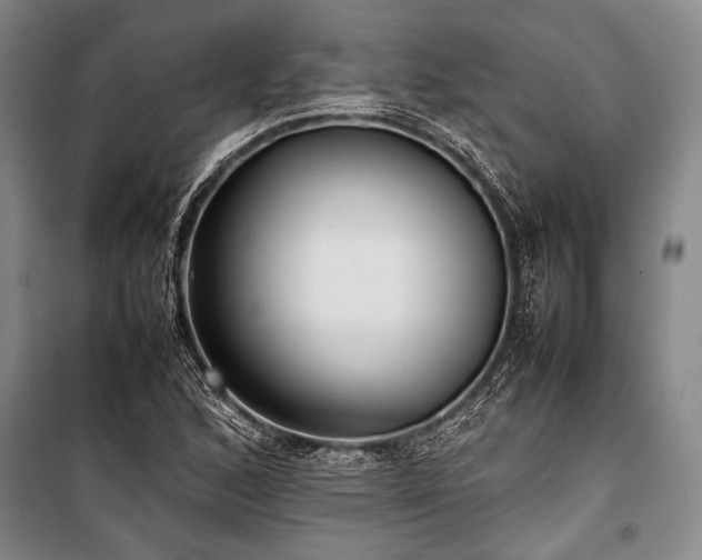 X0000101221168200806271440