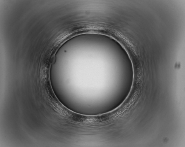 X0000101221169200806271440