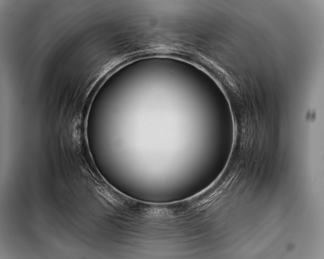 X0000101221170200806271440