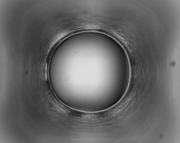 X0000101221171200806271440