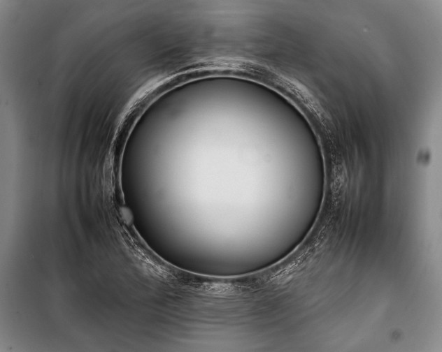 X0000101221172200806271440