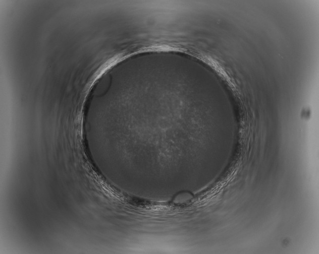 X0000101221173200806271440