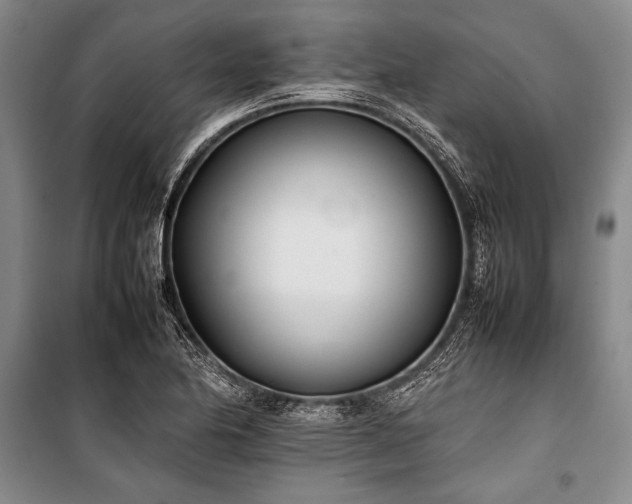 X0000101221174200806271440
