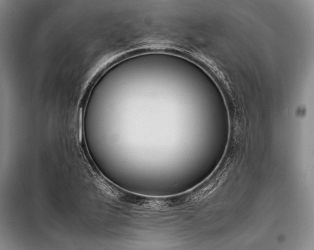 X0000101221175200806271440