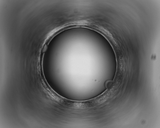X0000101221176200806271440