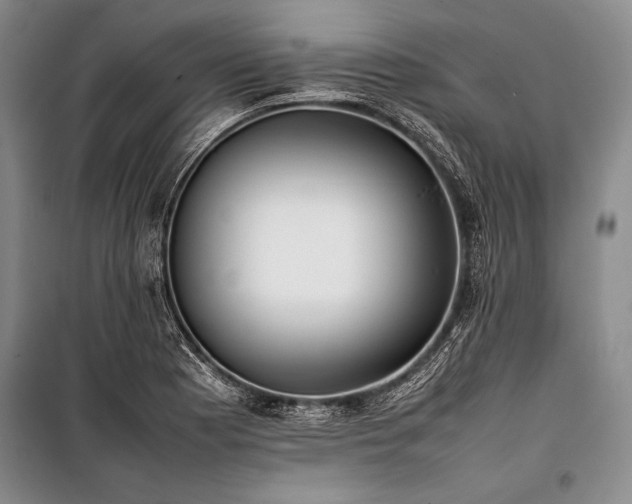 X0000101221177200806271440