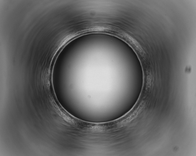 X0000101221178200806271440