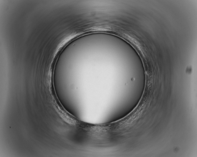X0000101221179200806271440