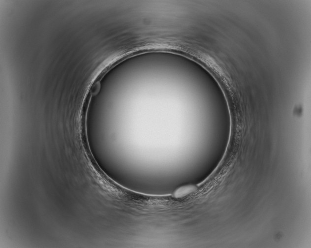 X0000101221181200806271440