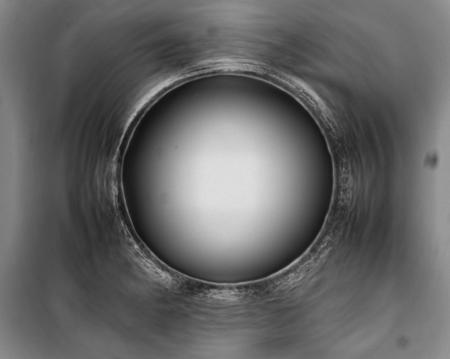 X0000101221182200806271440