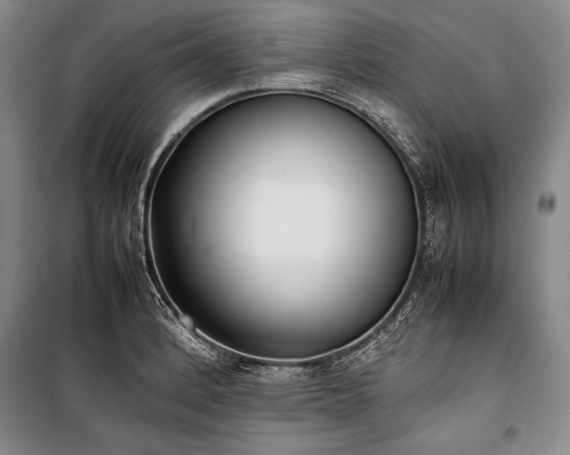 X0000101221184200806271440