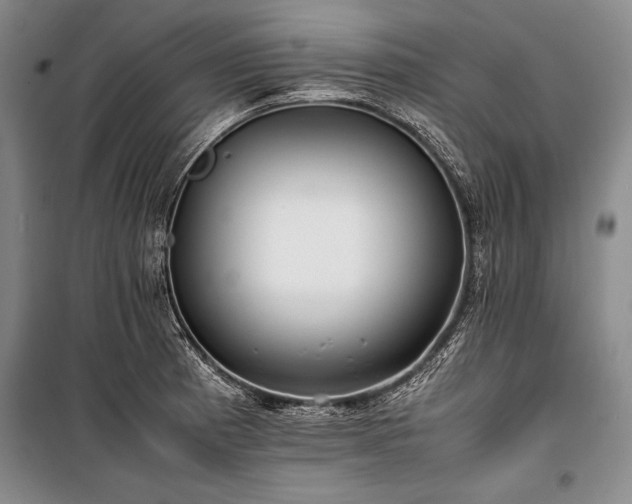 X0000101221185200806271440