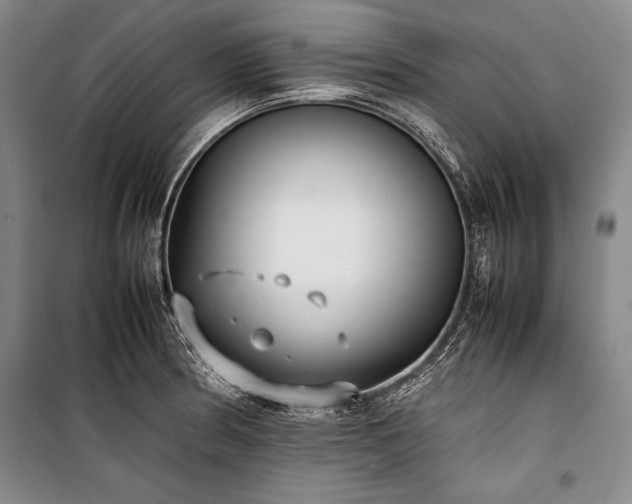 X0000101221186200806271440