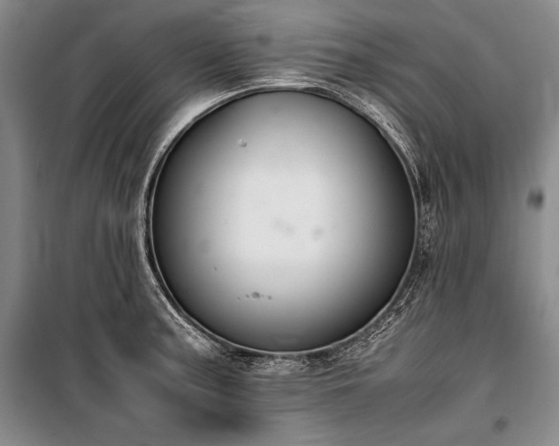 X0000101221187200806271440