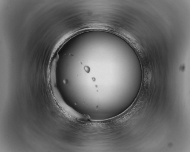 X0000101221188200806271440