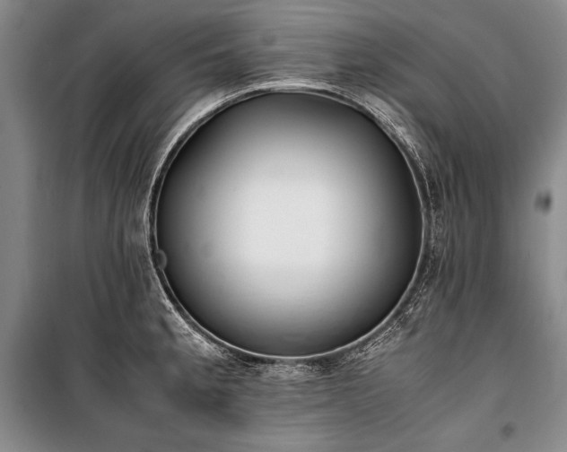 X0000101221189200806271440