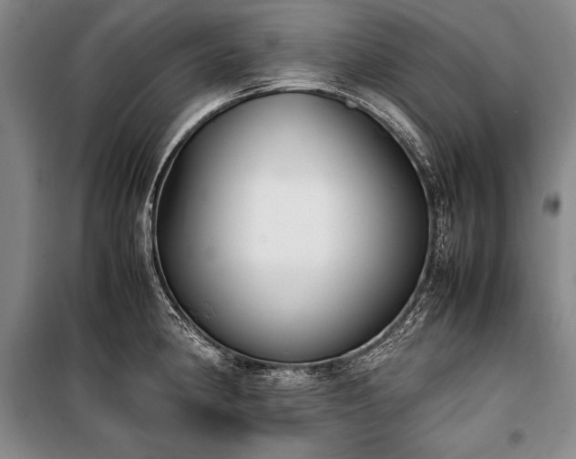 X0000101221190200806271440