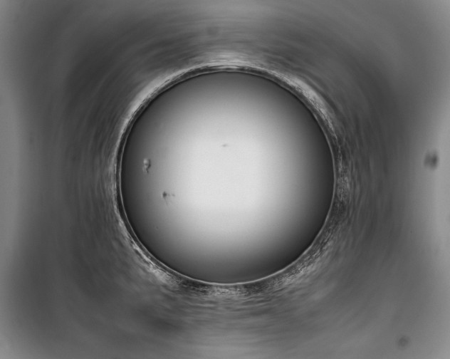 X0000101221191200806271440