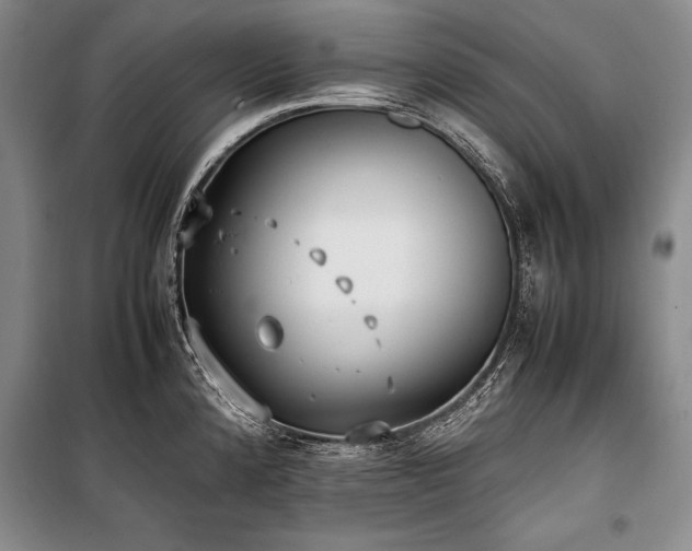 X0000101221192200806271440
