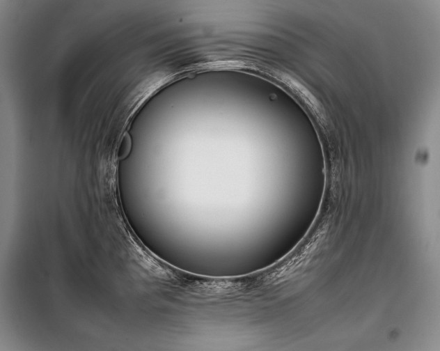 X0000101221193200806271440