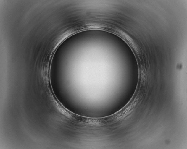 X0000101221194200806271440