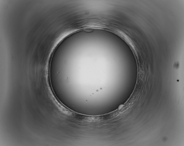 X0000101221195200806271440