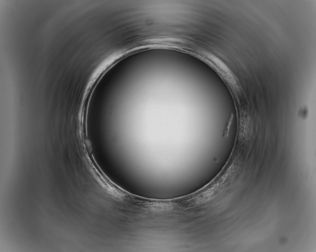 X0000101221196200806271440