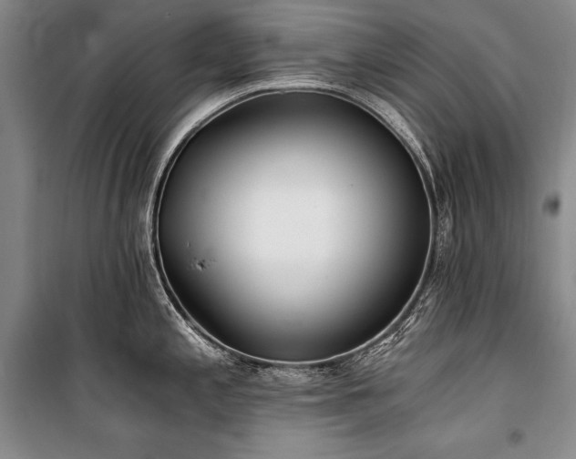 X0000101221197200806271440