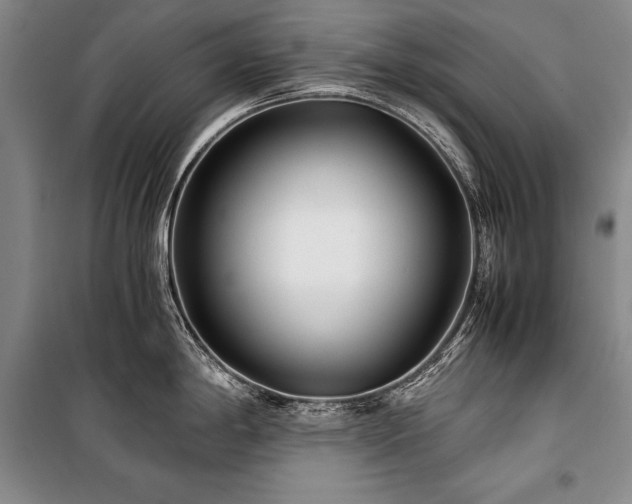X0000101221198200806271440