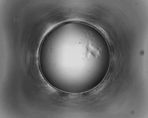 X0000101221199200806271440