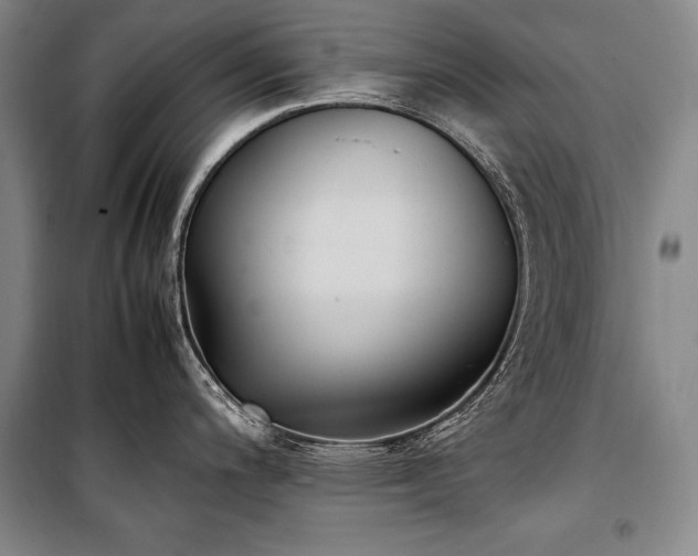 X0000101221200200806271440