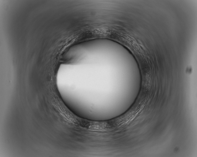 X0000101221201200806271439