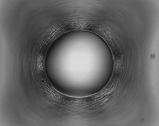 X0000101221202200806271439