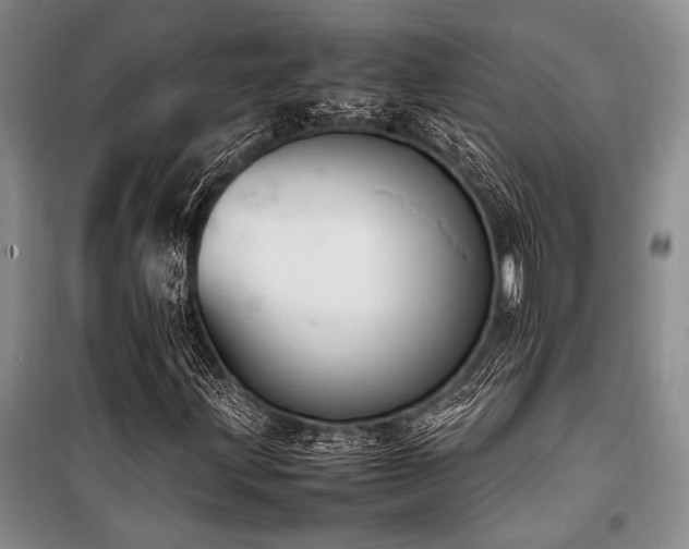 X0000101221203200806271439